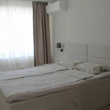 Cosy * 索菲亞